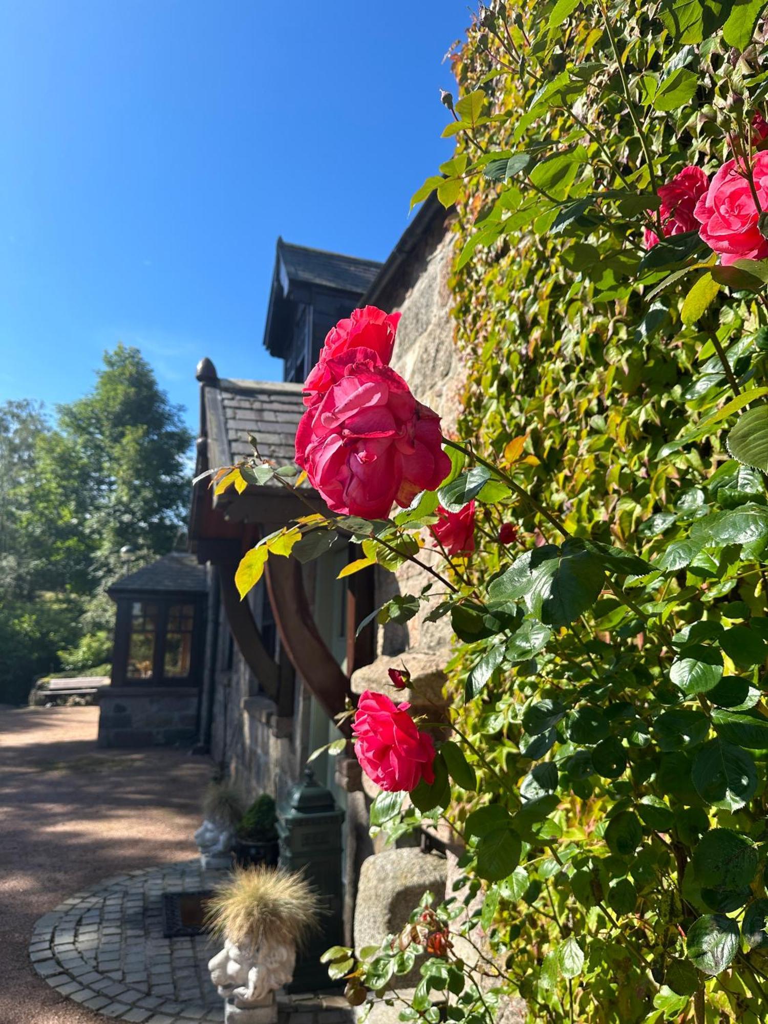 Awakening Alchemy Retreat Centre Bed & Breakfast Inverurie Exterior foto