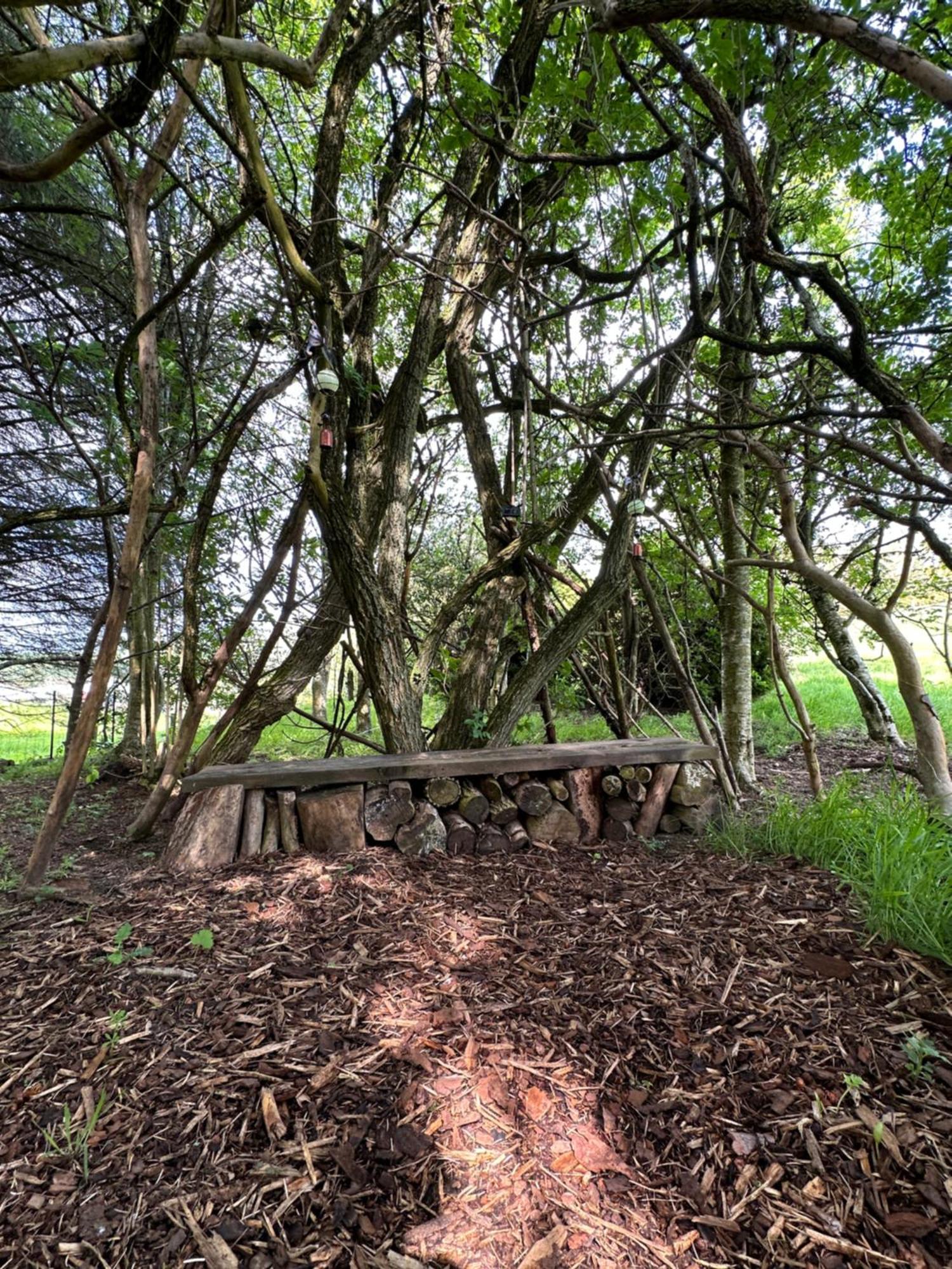 Awakening Alchemy Retreat Centre Bed & Breakfast Inverurie Exterior foto